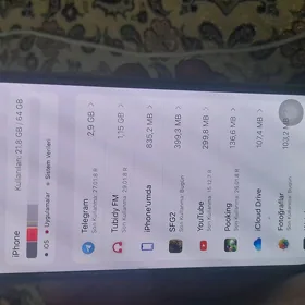 IPHONE  X
