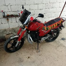Fekon FK200-14G 2021