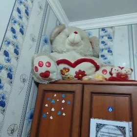 Ak mishka