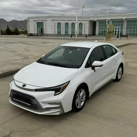 Toyota Corolla 2023