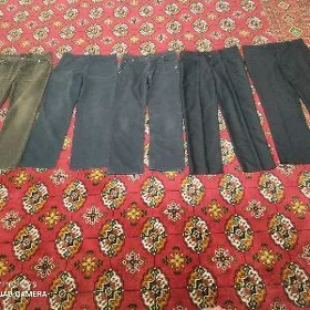 Jins jalbar