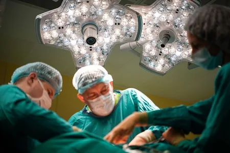 Russiýada nerwleriň, süňkleriň we oňurga ýiliginiň transplantasiýasyna rugsat berildi