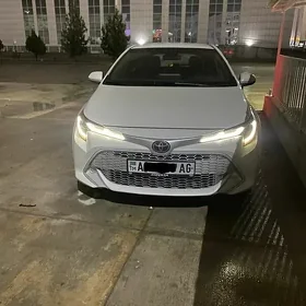 Toyota Corolla 2019