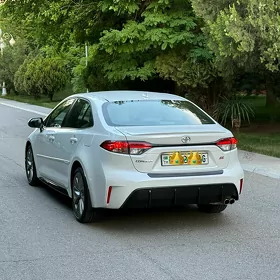 Toyota Corolla 2023
