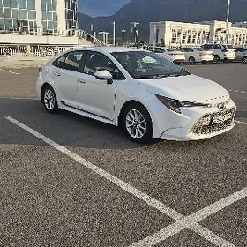 Toyota Corolla 2020