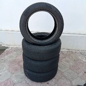 pakryşka