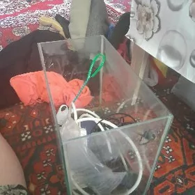 аквариум