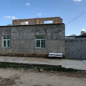 Dusak satlyk jay