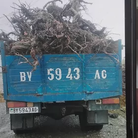Uzum tonne
