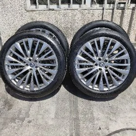 21disk Lexus RX