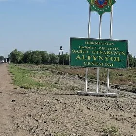дай