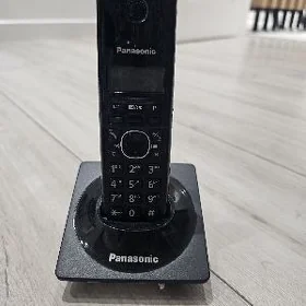 Panasonic Dom trupka