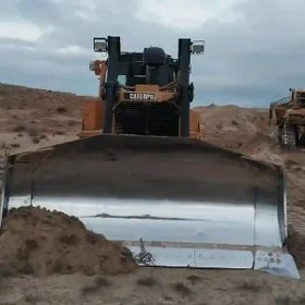 Caterpillar D Series 2009