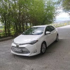Toyota Corolla 2019