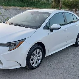 Toyota Corolla 2020