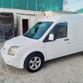 Ford Transit Connect 2010