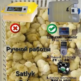 Inkubator