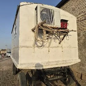 sowadyjy haladinik