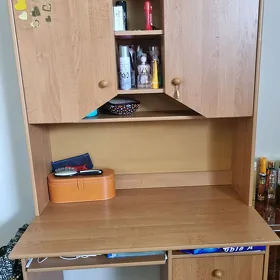 satlyk arassaja parta