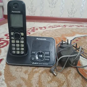 Domaşny