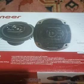 Pioneer 300v