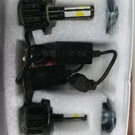 let lampa