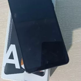 a 31