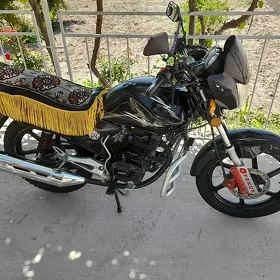 Fekon FK150-8G 2014
