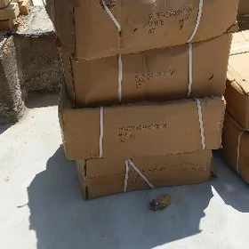 palata palatka