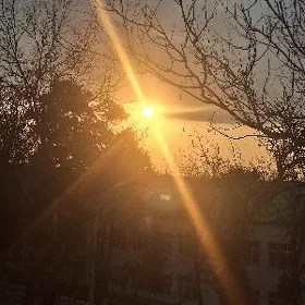 недвижимость