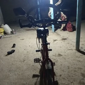 26   wolasepet