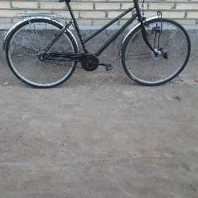 Welik 26
