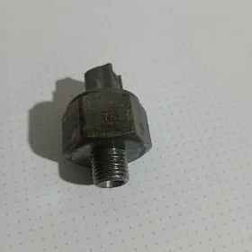 Detanasya dacik babcga