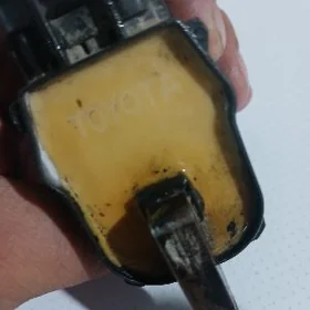 Babina babcga