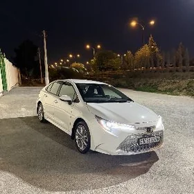 Toyota Corolla 2024