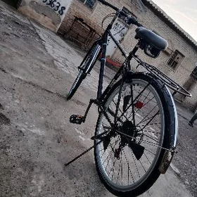 welik 28