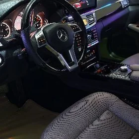 Mercedes-Benz 300D 2009
