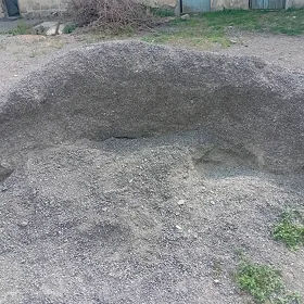 Miti