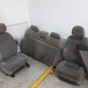 Carolla Sidelni Absiwka