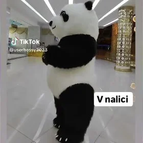 panda miska