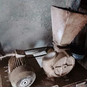 şeker uwediji