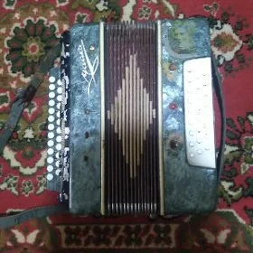 bayan/баян