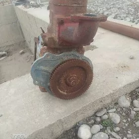 Puskaç