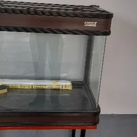 Akwarium 260 litr