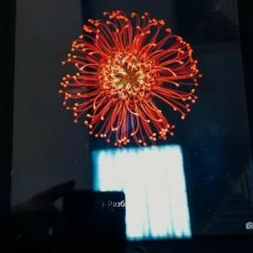 Ipad 2