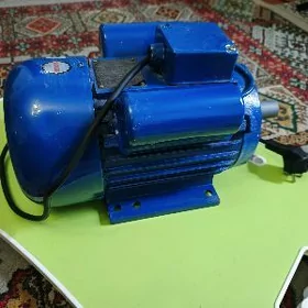 dwigatel motor