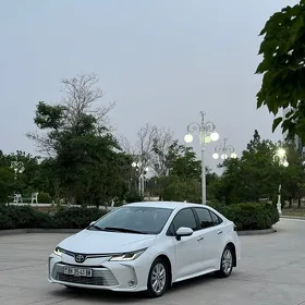 Toyota Corolla 2025