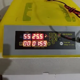 Inkubator 56 yumurtga