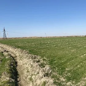 Satlyk mellek yer