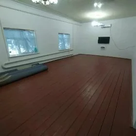 satlyk plan jay wremyankaly